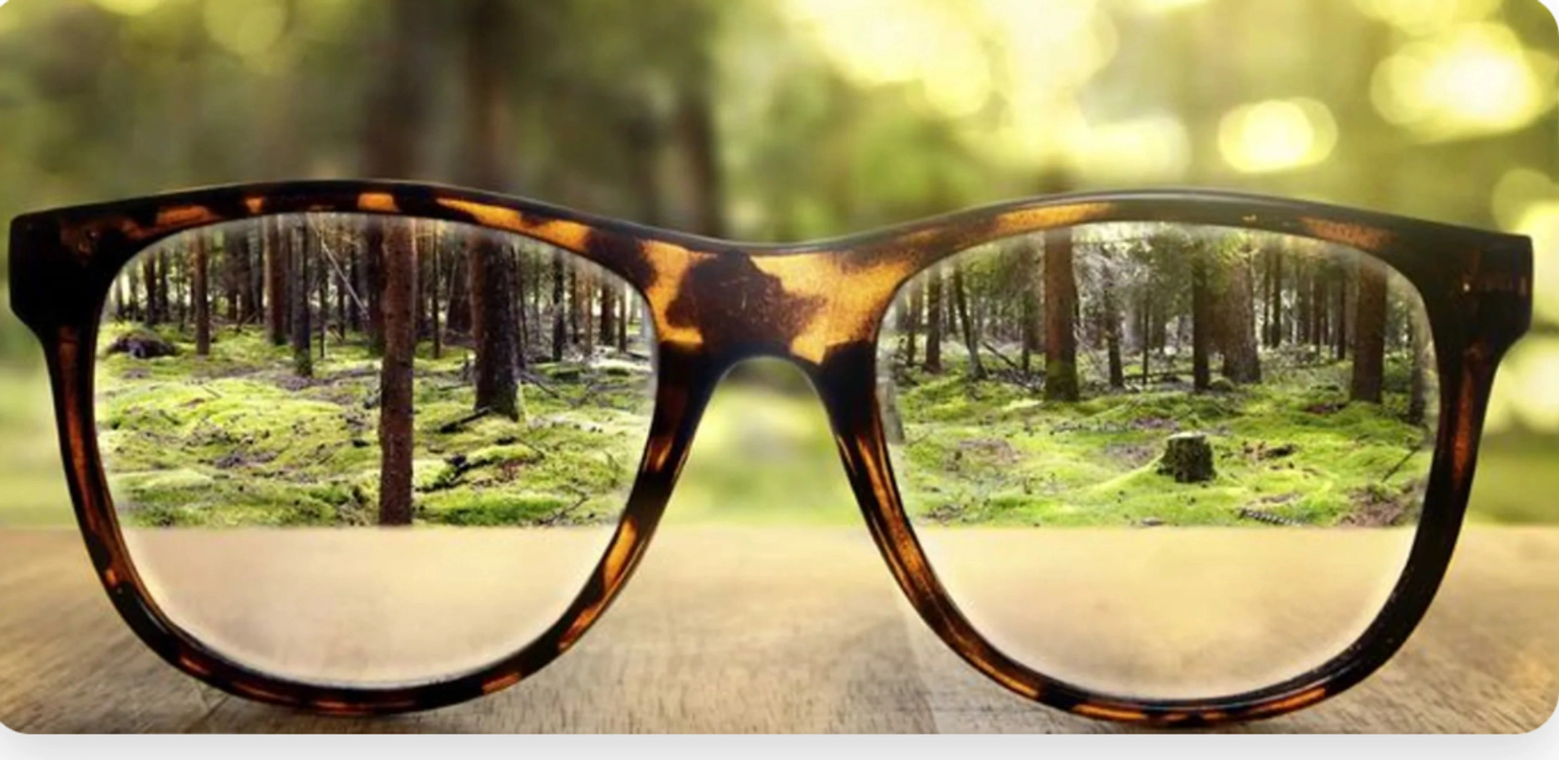 Vnitřní svět za brýlemi